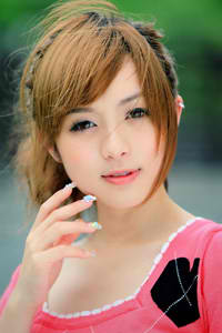 风月俏佳人下载